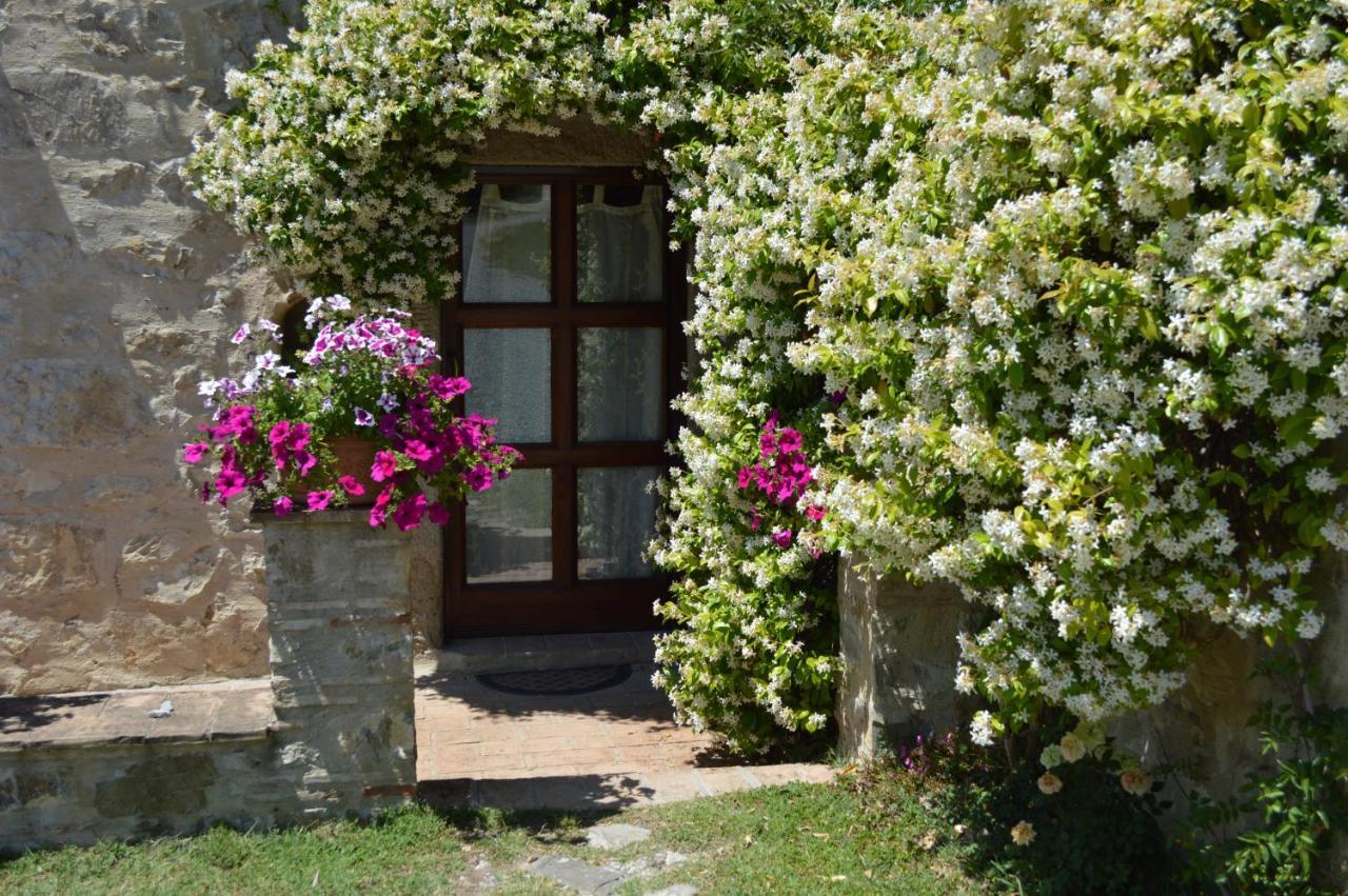 Bellavista Seggiano Exterior foto