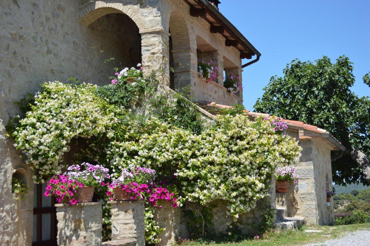 Bellavista Seggiano Exterior foto