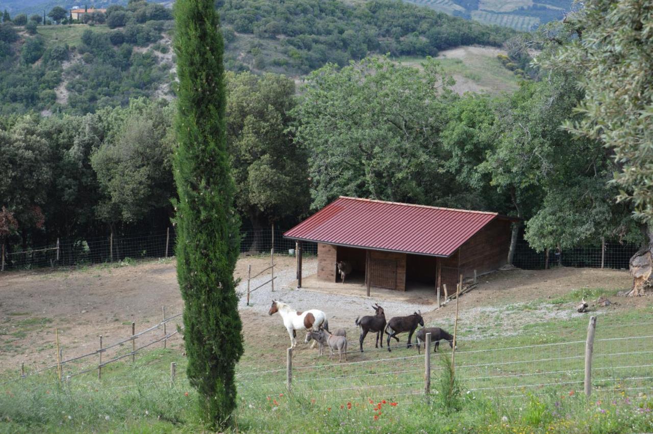 Bellavista Seggiano Exterior foto