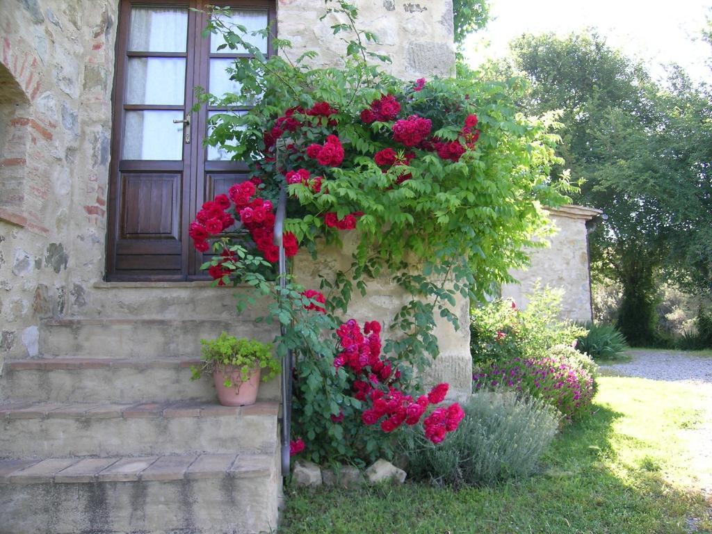 Bellavista Seggiano Exterior foto