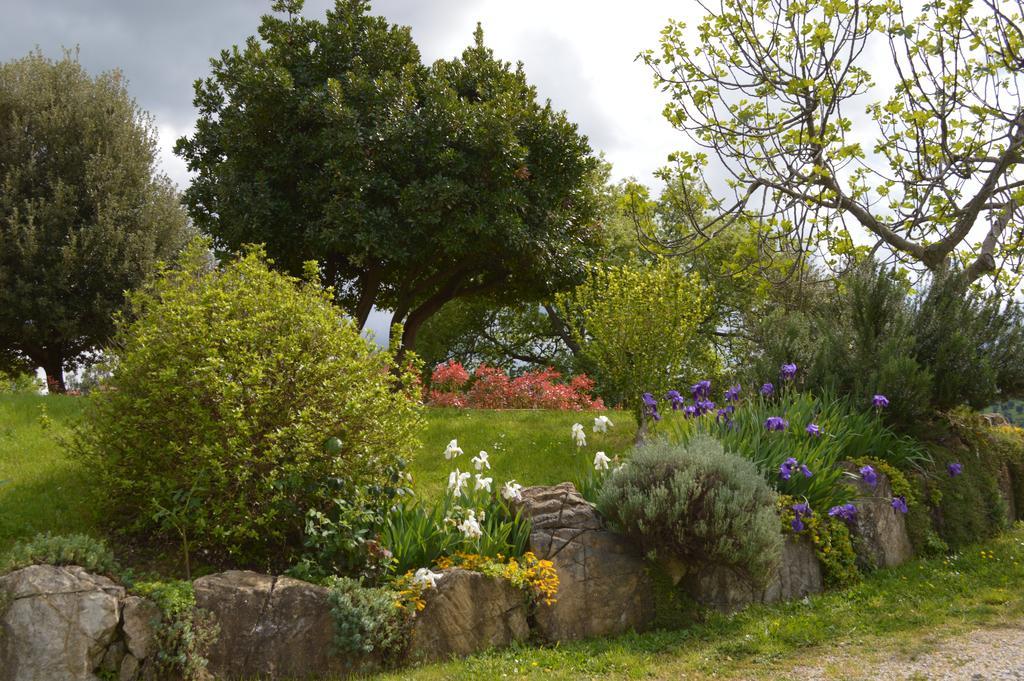 Bellavista Seggiano Exterior foto